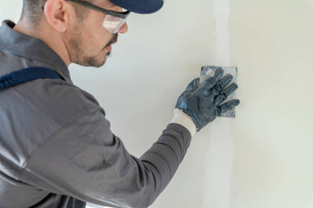 Best Emergency Mold Remediation  in USA